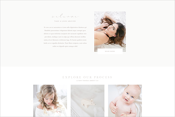 Belle Mère Prophoto 7 Template in Website Templates - product preview 7