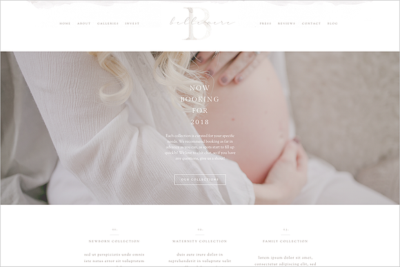 Belle Mère Prophoto 7 Template in Website Templates - product preview 14