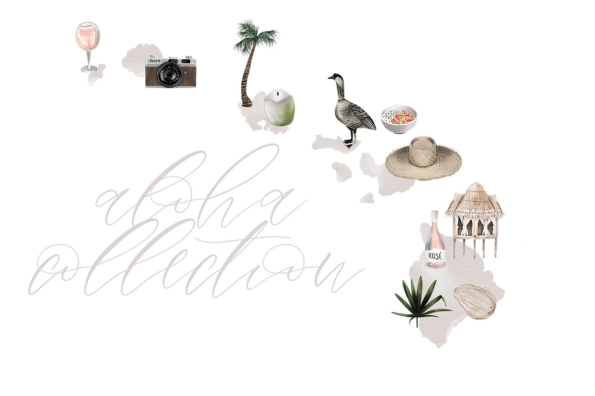 Hawaii | Aloha Collection in Illustrations - product preview 8