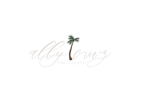Hawaii | Aloha Collection in Illustrations - product preview 5