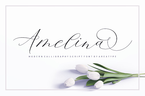 Amelina Script New Update Font Duo in Script Fonts - product preview 8