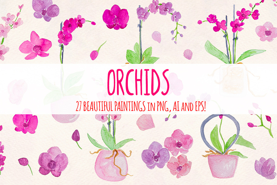 27 Pretty Watercolor Orchid Flowers in Illustrations - product preview 8