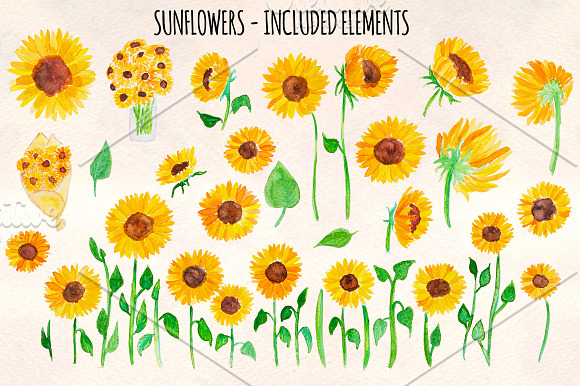 Bright Sunflowers 34 Sunny Vectors in Illustrations - product preview 1
