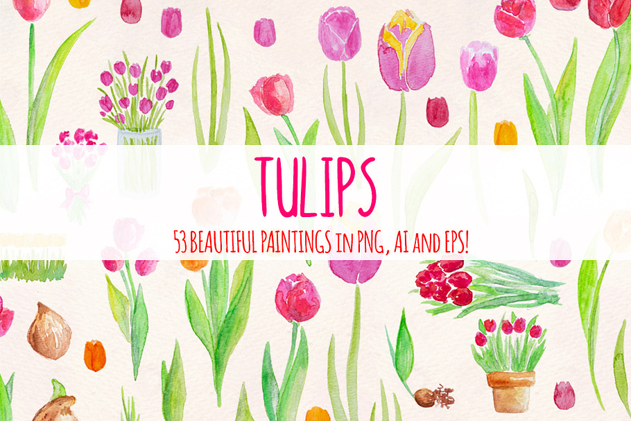 53 Bright Tulip Watercolor Clip Art