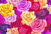 Colorful rosebuds, seamless pattern