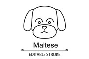 Maltese linear icon