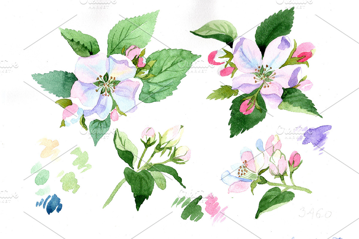 Wildflower apple blossom PNG set in Illustrations - product preview 8