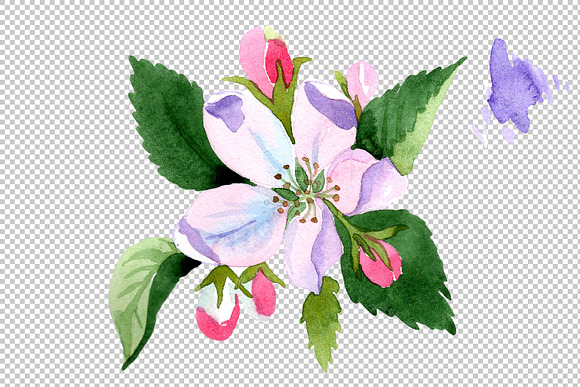 Wildflower apple blossom PNG set in Illustrations - product preview 2
