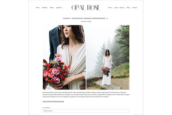 Opal Rose ProPhoto 6 Template in Website Templates - product preview 6