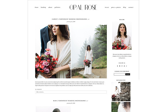 Opal Rose ProPhoto 6 Template in Website Templates - product preview 7