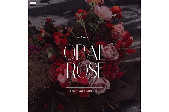 Opal Rose ProPhoto 6 Template in Website Templates - product preview 12
