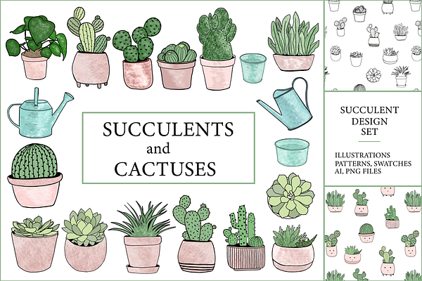 Succulents & cactuses illustrations