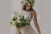 Botanica II ProPhoto 7 Collection