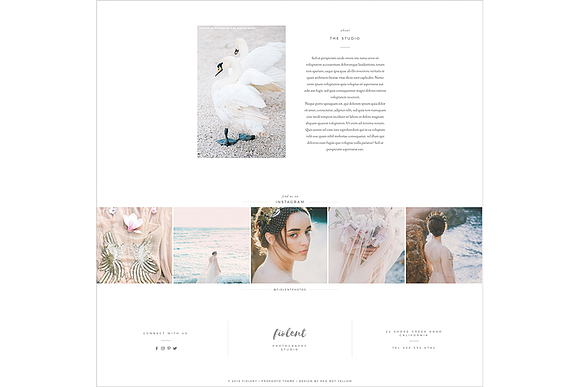 Fiolent ProPhoto 7 Template in Website Templates - product preview 2