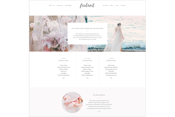 Fiolent ProPhoto 7 Template in Website Templates - product preview 5