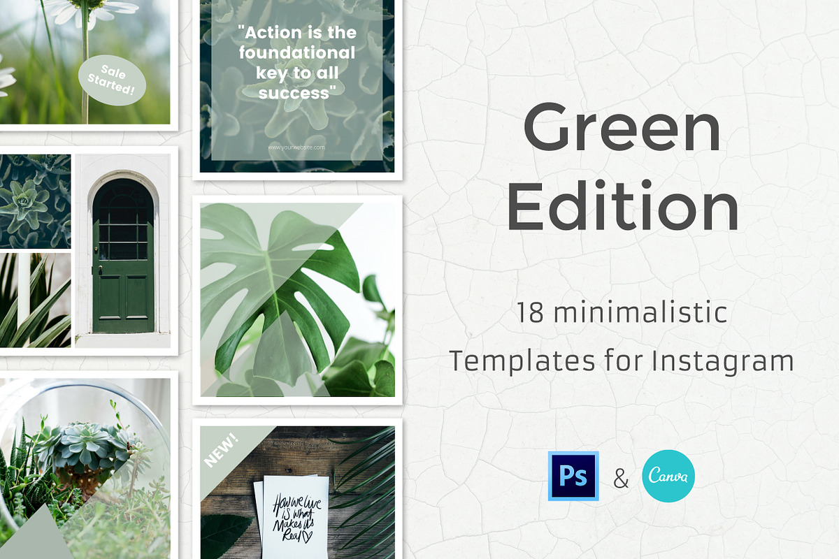 Green - 18 Instagram Templates in Instagram Templates - product preview 8