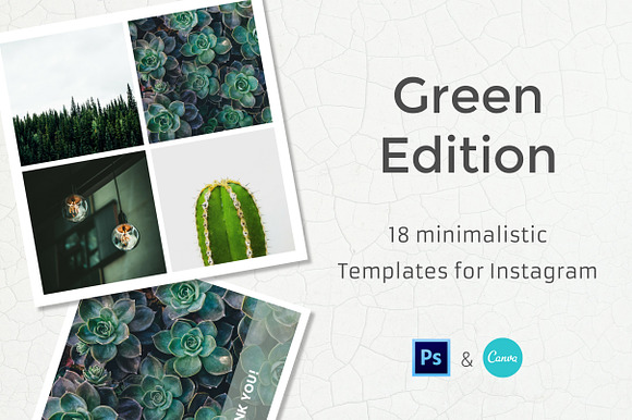 Green - 18 Instagram Templates in Instagram Templates - product preview 7
