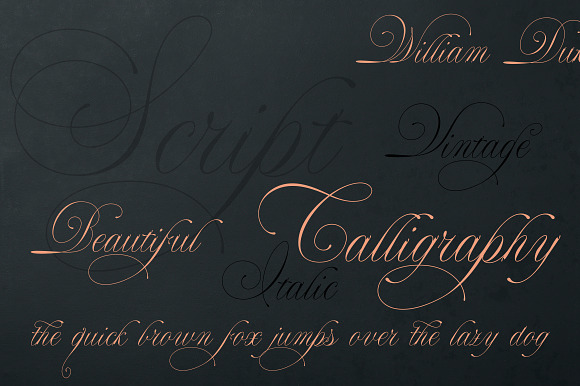William Duke in Script Fonts - product preview 1