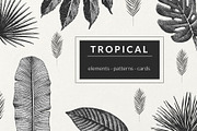 Tropical. Graphics, Patterns, Cards.