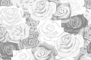 Beautiful white and gray rosebuds