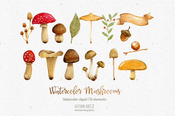 watercolor mushroom clipart in Illustrations - product preview 1