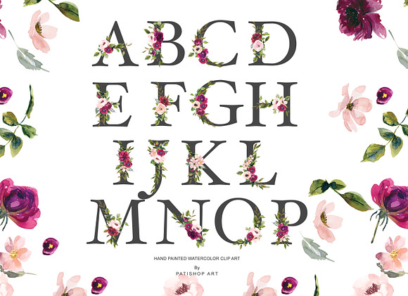 Burgundy Blush Alphabet & Pattern in Illustrations - product preview 1