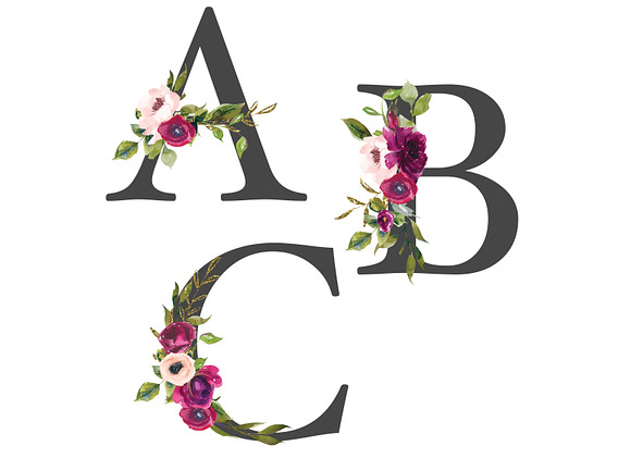 Burgundy Blush Alphabet & Pattern in Illustrations - product preview 4
