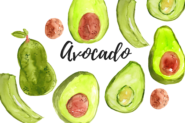 Watercolor Avocado Food Clipart 