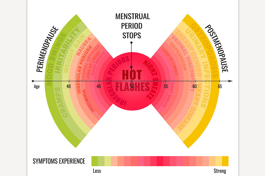 Stages of Menopause Infographic in Illustrations - product preview 8