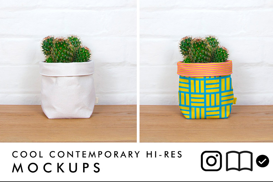Fabric planter mockup with cactus