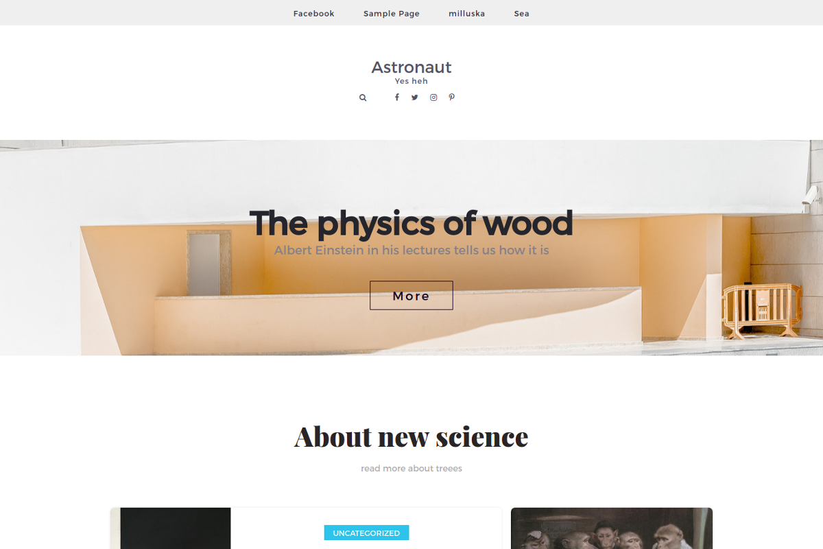Astronaut - Responsive Blog in WordPress Blog Themes - product preview 8