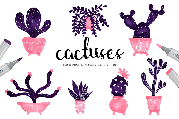 Cactuses hand-painted collection