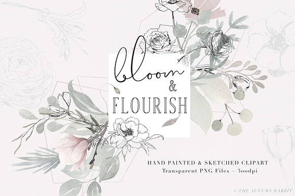 Bloom & Flourish - Floral Clipart in Illustrations - product preview 8