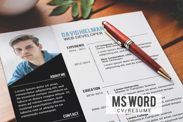 Ms.Word Professional Resume Template