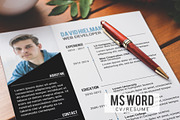 Ms.Word Professional Resume Template