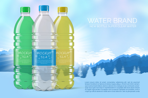 Plastic Water Bottle Mockup in Product Mockups - product preview 2