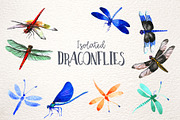 Insect dragonfly PNG watercolor set