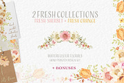 Watercolour Florals Fresh Collection