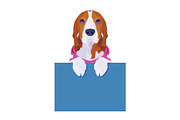 Adorable beagle wearing pink shirt