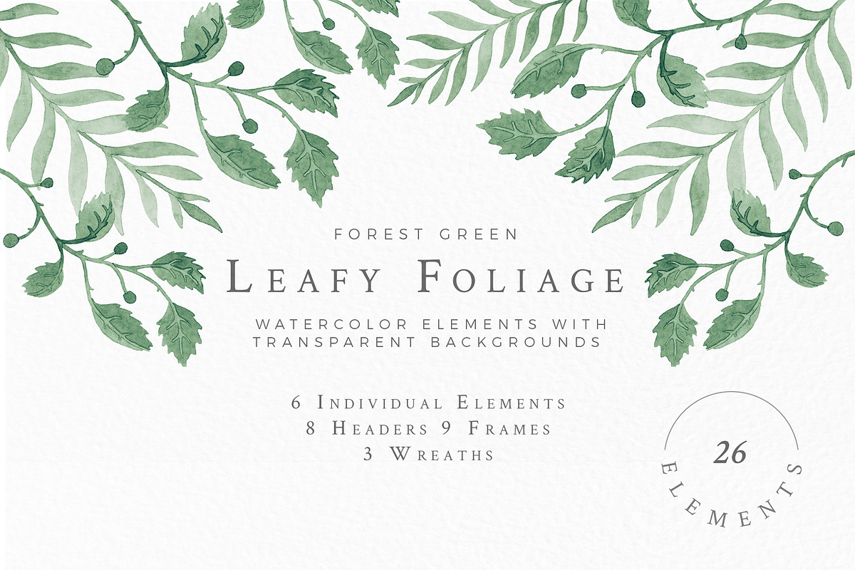 Leafy Foliage - Watercolor Leaves in Illustrations - product preview 8