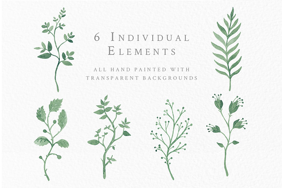 Leafy Foliage - Watercolor Leaves in Illustrations - product preview 1