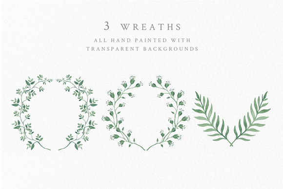 Leafy Foliage - Watercolor Leaves in Illustrations - product preview 6