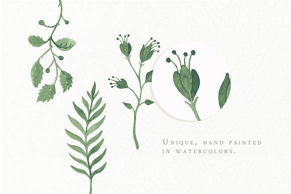 Leafy Foliage - Watercolor Leaves in Illustrations - product preview 9