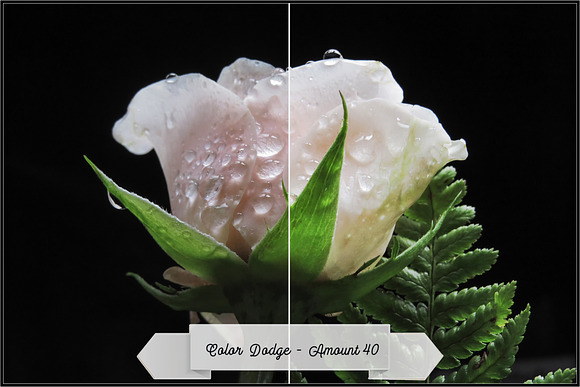 Blend Modes Profiles Lightroom ACR in Photoshop Plugins - product preview 4