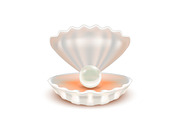  3d Shell with Pearl. Vector