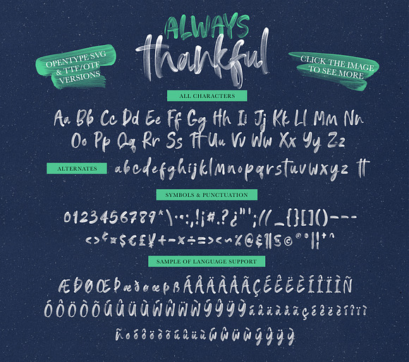 Always Thankful - SVG Font Duo in Colorful Fonts - product preview 7
