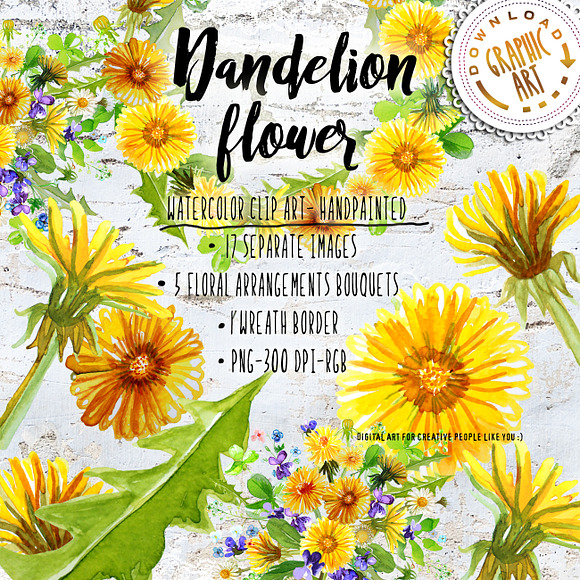 Summer Dandelion Clipart Watercolor  in Illustrations - product preview 7