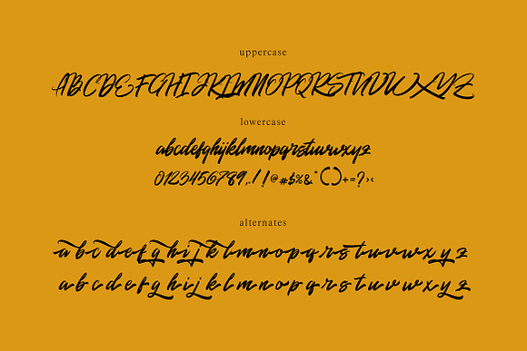 Rommantis Script in Script Fonts - product preview 7