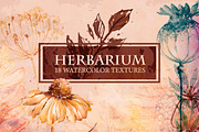 Herbarium. Watercolor Textures.