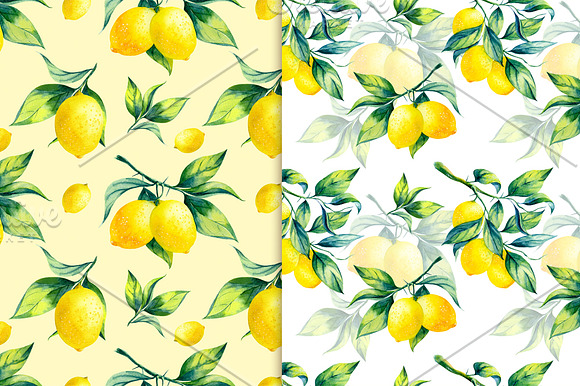 Watercolor lemon branch in Illustrations - product preview 3